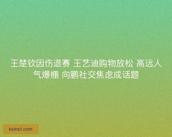 王楚钦因伤退赛 王艺迪购物放松 高远人气爆棚 向鹏社交焦虑成话题